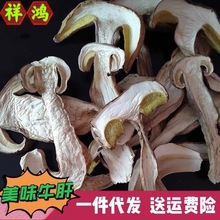 【美味白牛肝菌】包邮 云南特产A级加工剪脚美味牛肝白牛肝菌货源