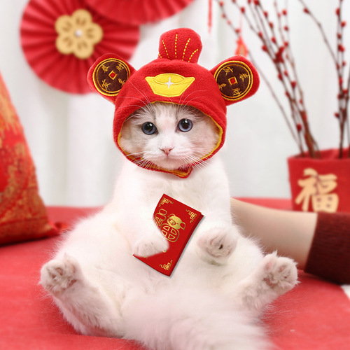 Pet Hat for New Year, Cute Cat, Teddy, Bichon, Dog, Costume Accessory, Headwear, Transformation