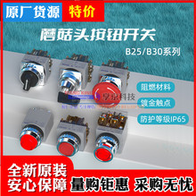 B25/B30PKACONͣx_Po17R 21R 27 41S 51 71 81A L F