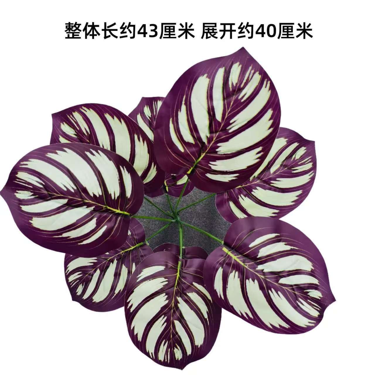 Nine-pronged large plant new style no. 20