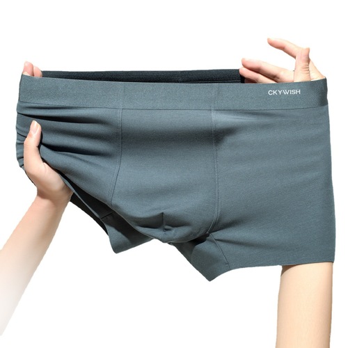 High-end 120 pairs Modal Men's Underwear Wholesale Mulberry Silk Antibacterial Men's Underwear Men's Modal Dropshipping