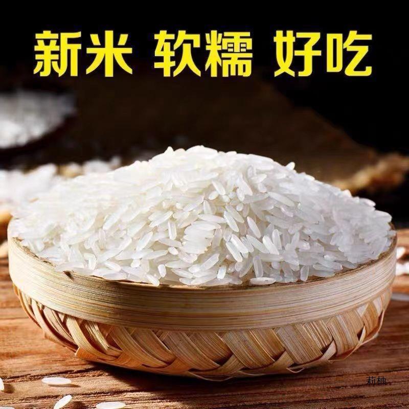 丝苗米大米煲仔饭煮饭猫牙米批发晚稻长粒香米蛋炒饭50新米斤其他|undefined