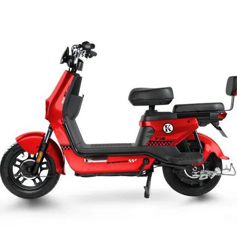 electric electric car for adults