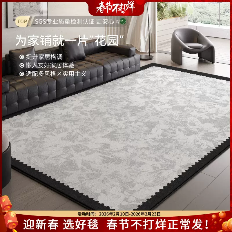 地毯客厅2025新款现代轻奢高级免洗可擦防水卧室床边房间沙发地垫