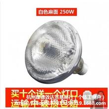 �����߲˄�ֲ��̫ꖹ���Gֲȡů���������ػ��ܷ¼t�⾀������o