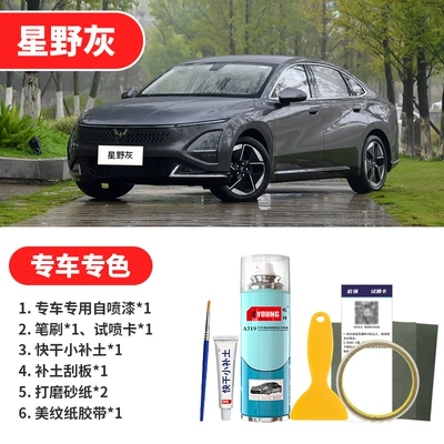 Scratch Repair Self-Spray Paint – Avtomobil boya qələmləri - starry-gray-emergency-repair