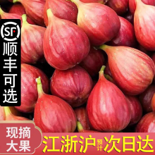 ��S�tƤ�o�����r�����r�ЋDˮ��3���������������ϟo������