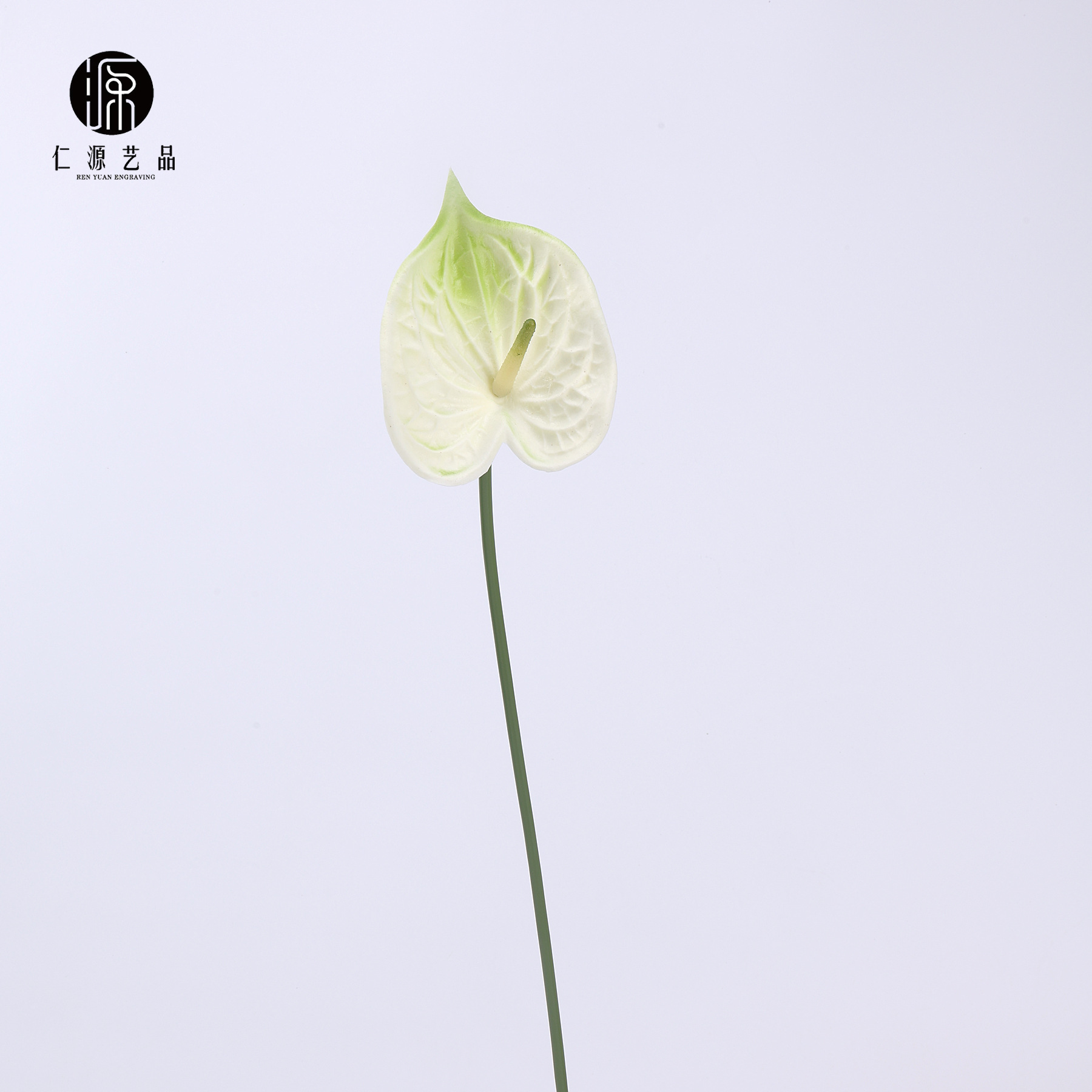 화이트 그린(신품)