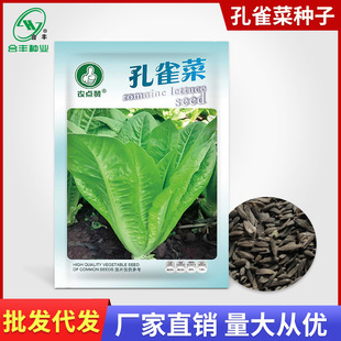 �r�cٝ ��ȸ�˷N�����˷N���ļ����˷N���_�R���˷N�Ӳ��ѷN���l