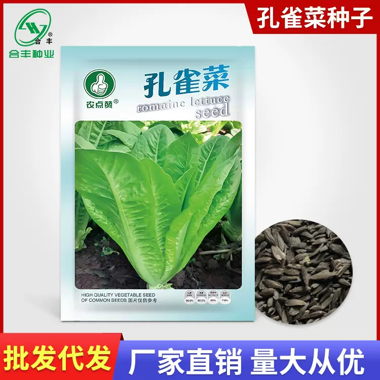 农点赞 孔雀菜种籽生菜种孑四季生菜种籽罗马生菜种子菜籽种批发