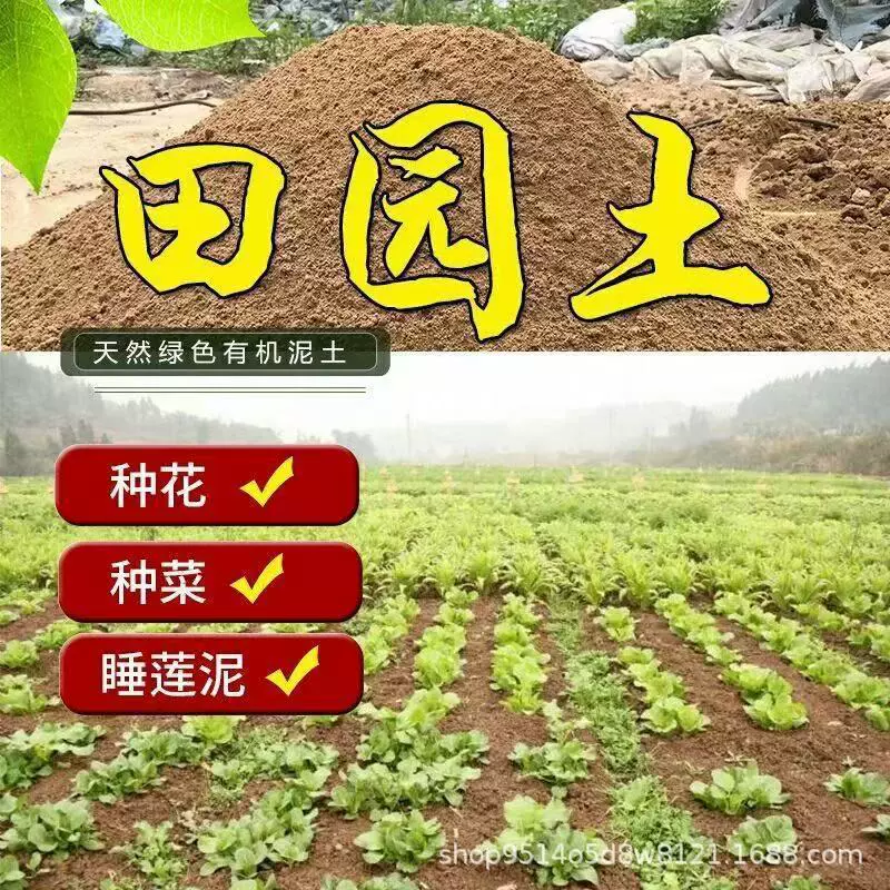 纯天然田园土泥土菜园土种菜种花果树盆栽花卉通用有机土沙土黑土
