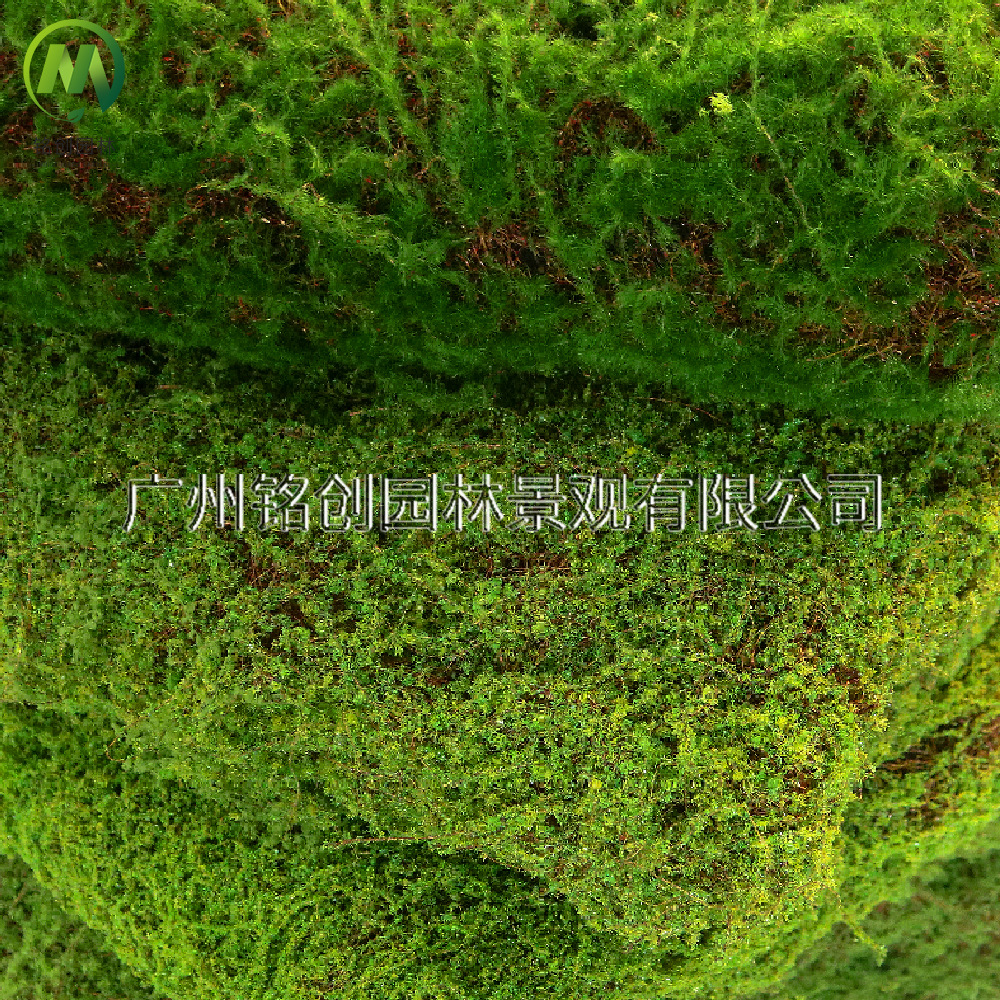 Césped de musgo artificial para micropaisajes, césped de musgo sintético para decoración de interiores, césped de musgo artificial flocado