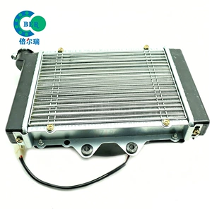 ATV Çimərlik Motosiklet Aksesuarları Big Bull Hummer 150 250CC Radiator Su Çəni