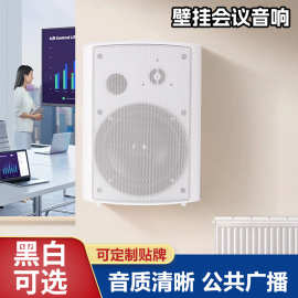 厂家直发会议壁挂音箱教室教学音响走廊音箱广播商场店铺壁挂喇叭