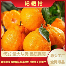 �������ڰҰҸ̑������rˮ�����ӳ�˹����ӳ������θ��ٴ��l���l