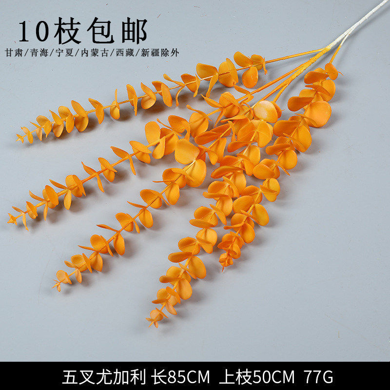5叉塑料尤加利