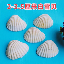 ?��Ȼ��ɫؐ��DIY�ֹ������T�f�N�����������ؐ