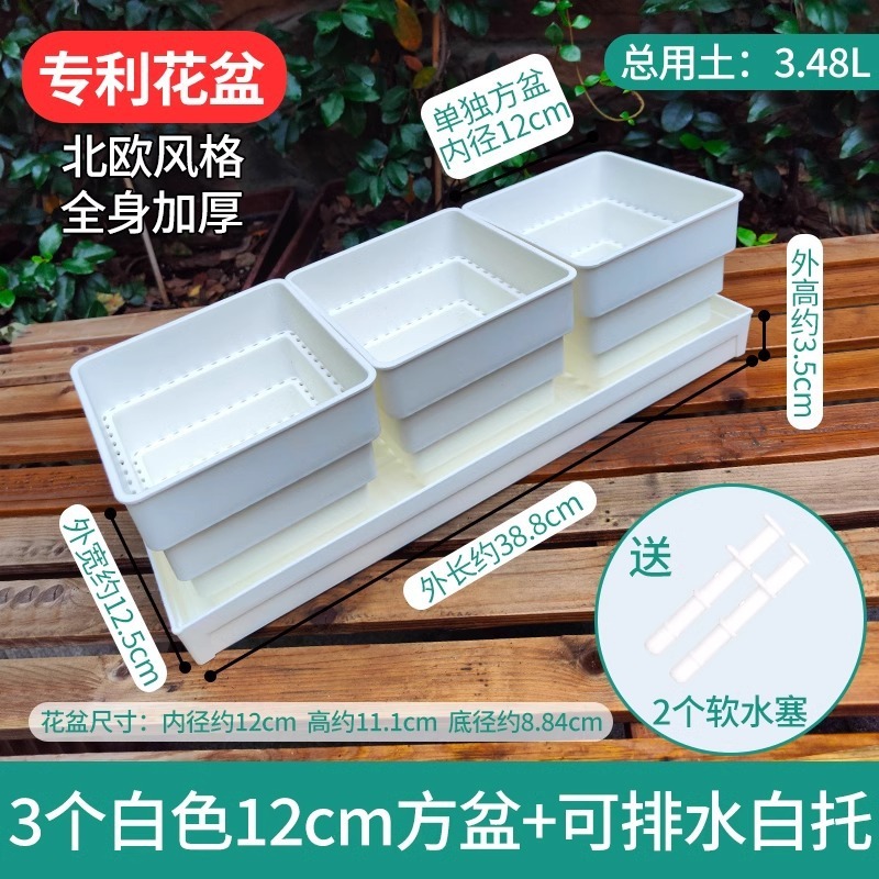 樹脂多肉植木鉢大口径小白角コンビネーション台座付きトレープラスチック通気植物専用根付き鉢|undefined