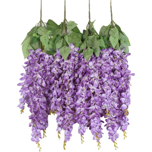 �羳�¿�������ٻ���ͥ�Ɍ���Y�bҒ�̩���m����z�I���ټٻ�