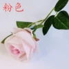 Pink pink