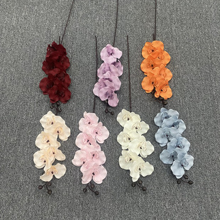 ����6�^�����m���Ҿ��b�c�ߙn�ٻ����l�͏d�[��diy�������羳