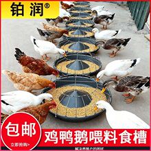 �¿�ι�uʳ���B�u�Ԅ�ιʳ��ɢ�B�uι�u�����򲻷��u���Zţ����