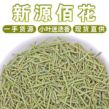 批发迷迭香新货 香料小叶迷迭香干货散装500g 迷失香中药材花草茶