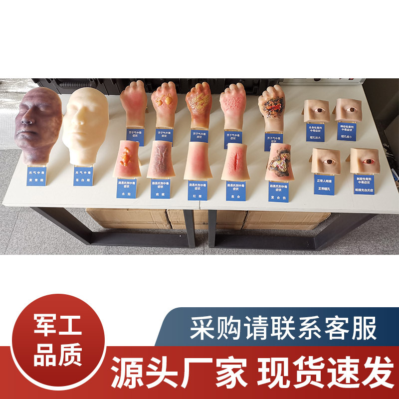 人员仿真中毒模型（含展柜）实训毒理实验室食品设备仿真教学