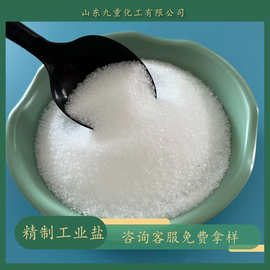 工业用盐厂家直供 99含量海盐 高纯度精制盐氯化钠工业细盐批发