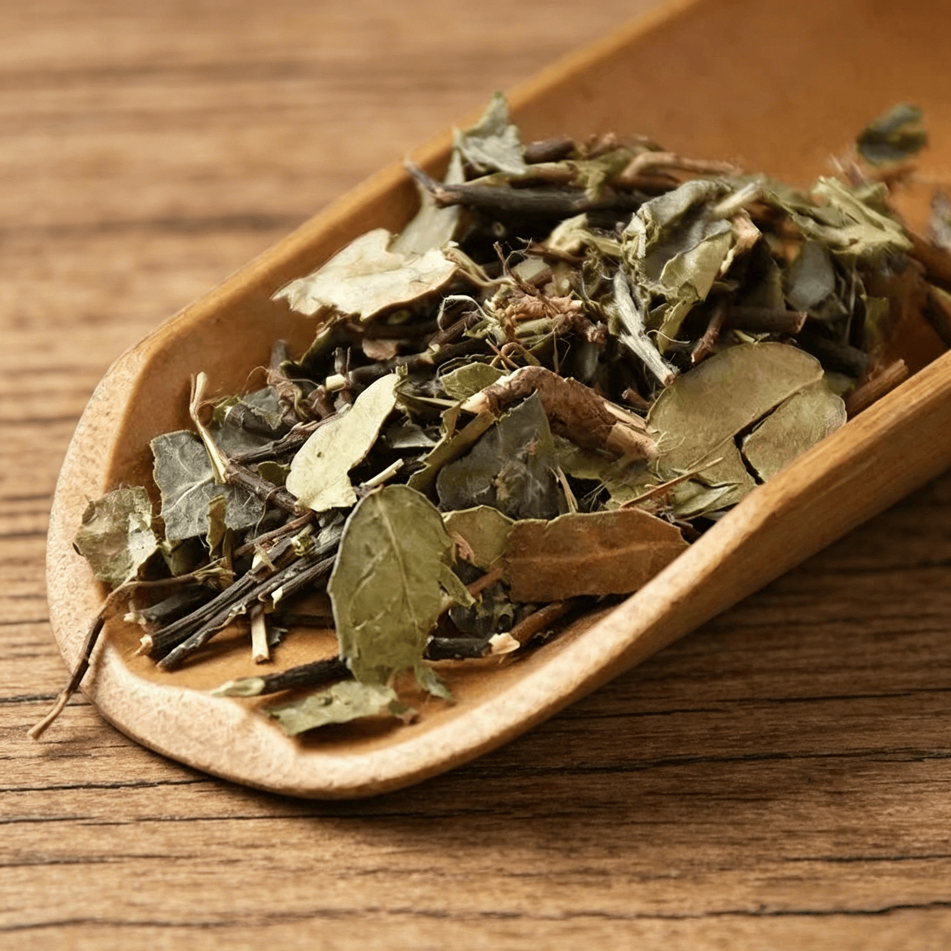 Dried Star Jasmine Stem Luo Shi Teng Trachelospermum jasminoides Traditional Chinese Herb 1000g Bag in use