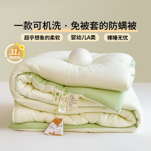 Class a Soy Fiber Quilt Core, Universal for All Seasons, Student Dormitory Spring & Fall Quilt, Warm Winter Quilt, Double Quilt