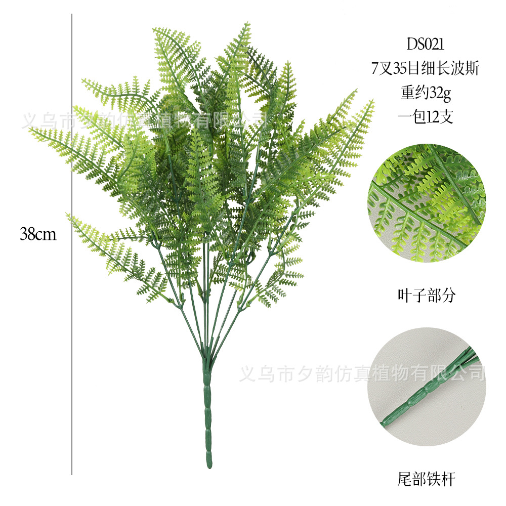 DS021-밝은 녹색 7갈래 금성고사리