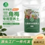 盆栽养花透气种植营养土