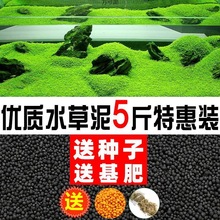 水泥陶粒砂沙鱼缸底砂水族造景套餐水种子基肥不浑水鱼缸底沙
