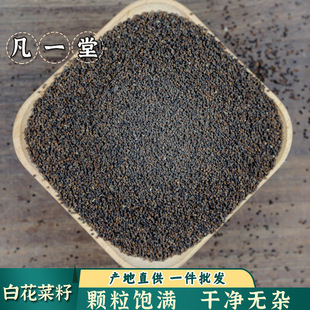 ��һ�ð׻����� �׻����� �ٻ�������Ȼ���� �����x�Ŀɟo�۰l؛