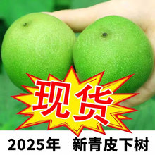 Ұ����������ְѱP��ـ��Ƥ��Ȼ���␞��{���^��ñ����^������