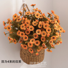 ��ɫ ����С�r����ʾ� ��@�Ҿ��bٻ����滨�ջ����l�zӰ����