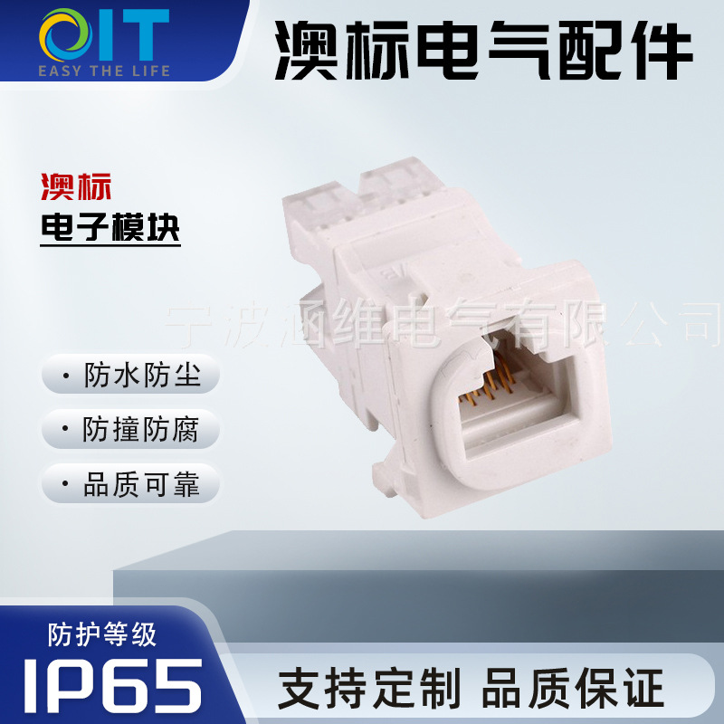 CLIPOL厂家批发澳标CAT6电脑模块开关模块data module   DSMRJ45