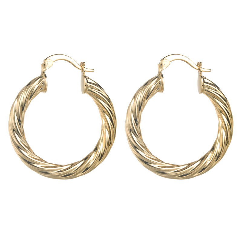 Fashion Geometric Titanium Steel Hoop Earrings Plating Stainless Steel Earrings