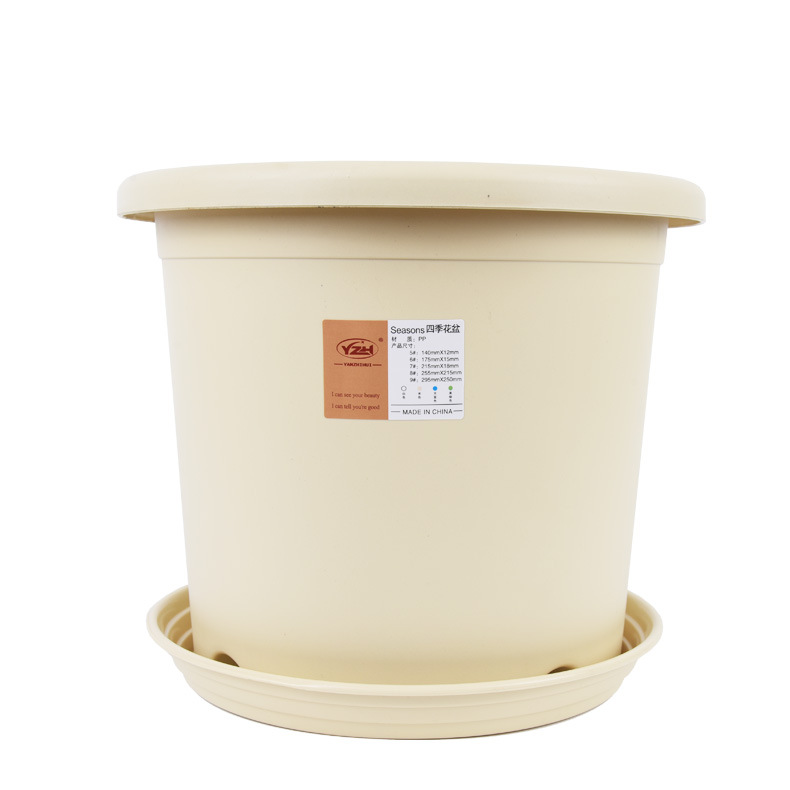 Light beige [new] tray