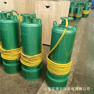 �V�÷�����ˮ��BQS100-30-18.5KW��ɳ��ˮ�� �������T�F��ˮ��