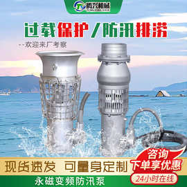 永磁防汛泵8SZQ大流量高扬程变频潜水泵便携式抢险应急排涝轴流泵