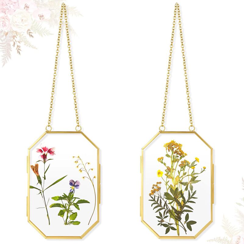 Golden Geometric Metal Photo Frame European Vintage Dried Flower Clip Plant Specimen Frame Hanging Chain Decorative Picture Frame 6x4 Golden Geometric Metal Photo Frame European Vintage Dried Flower Clip Plant Specimen Frame Hanging Chain Decorative Picture Frame 6x4