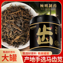 马齿苋 马齿笕500克马齿觉马齿菜马齿草长命菜马齿苋代发