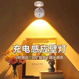 LED球泡灯;LED装饰灯;灭蚊灯