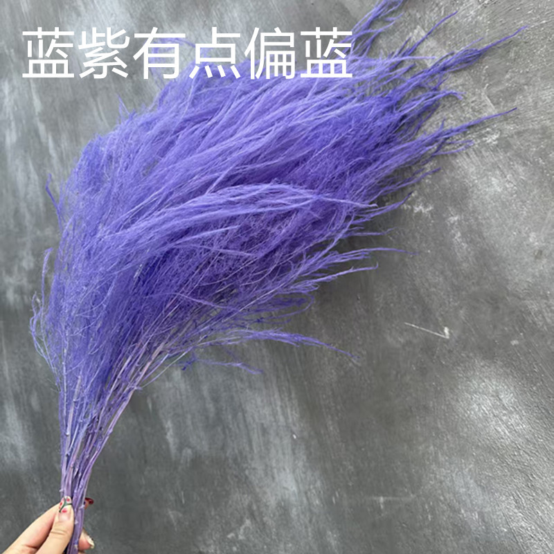bleu clair violet / 80-100g