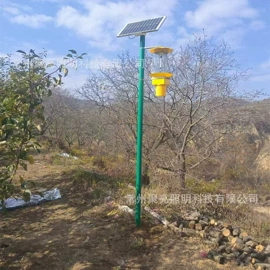 其他专用灯具;景观灯;太阳能灯