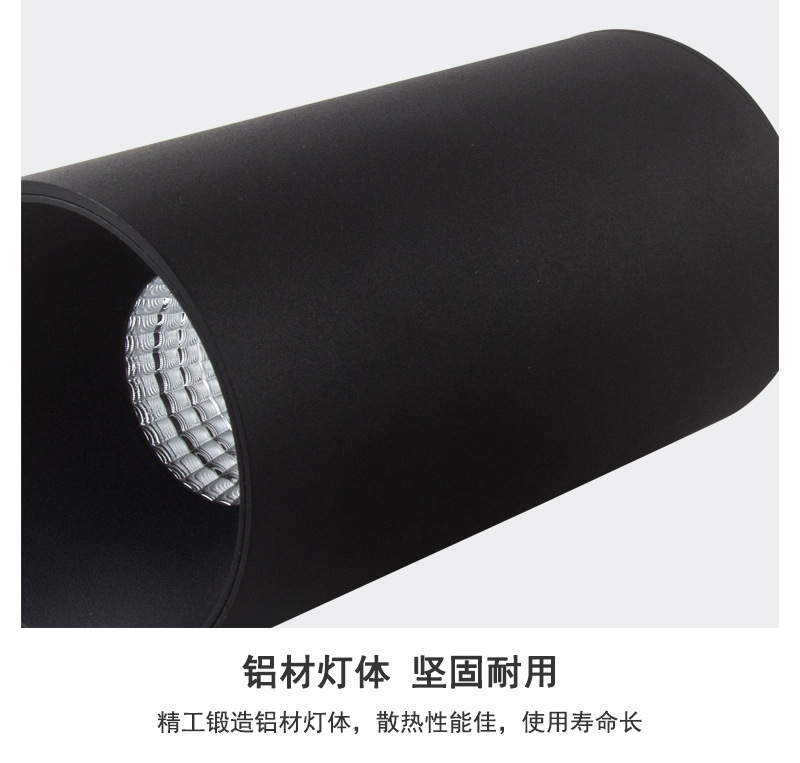 DL-710P_12.jpg