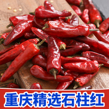 nx�ؑc�خaʯ���t������250g�������� �t�����泯�콷�Ĵ�����{