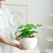 ���~�y�������̨ˮ�B�Gֲ�����մ�����x��ˮ�P�Wʽ�Wʽ�L����